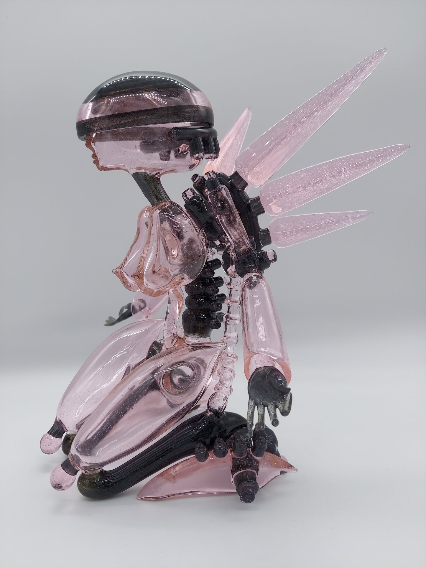 Banjo Glass - Rozaybot (2014)